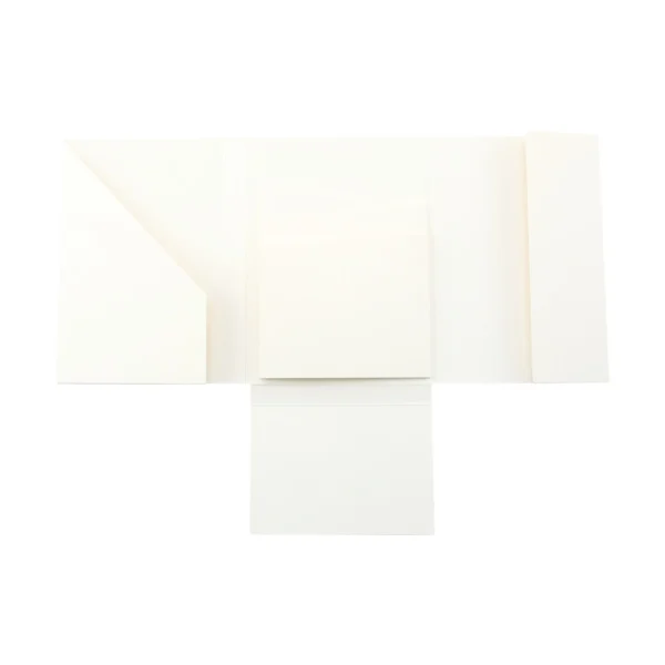 Tim Holtz Accordion Folio (TH94215)