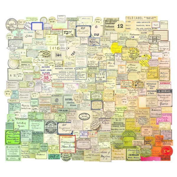 Tim Holtz Curator Snippets Ephemera Pack (TH94152)