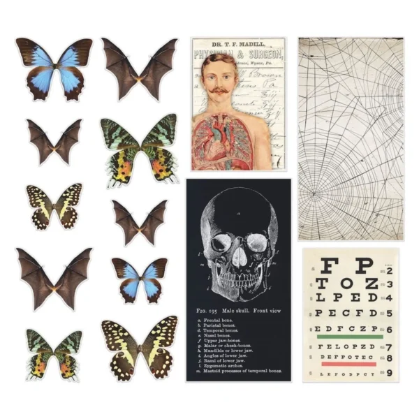 Tim Holtz Halloween Transparencies (TH94167) (DISCONTINUED)