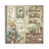 Alterego 8x8 Inch Paper Pack Singel face (SBBSXB06)