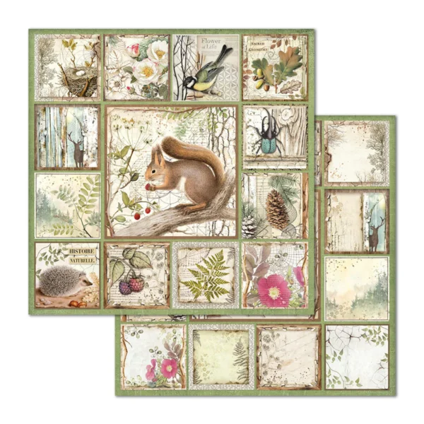 Forest 12x12 Inch Paper Pack (SBBL63)