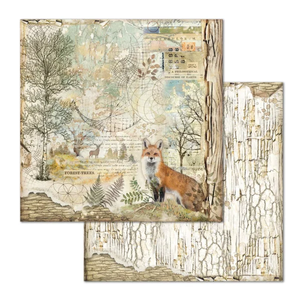 Forest 12x12 Inch Paper Pack (SBBL63)