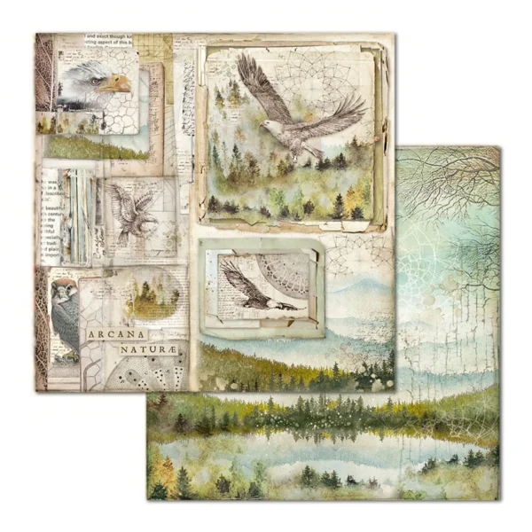 Forest 12x12 Inch Paper Pack (SBBL63)