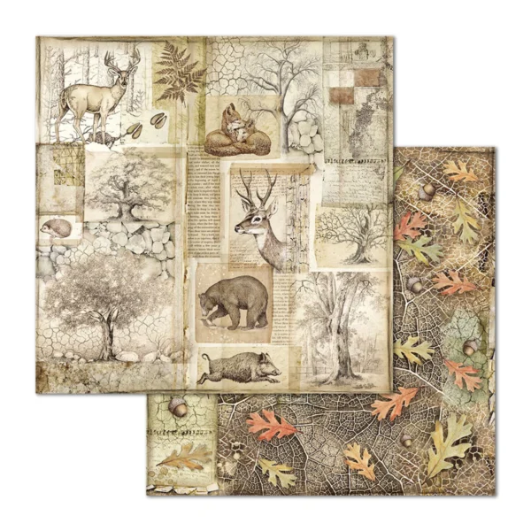 Forest 12x12 Inch Paper Pack (SBBL63)