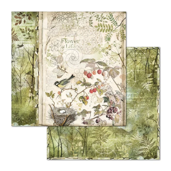 Forest 12x12 Inch Paper Pack (SBBL63)
