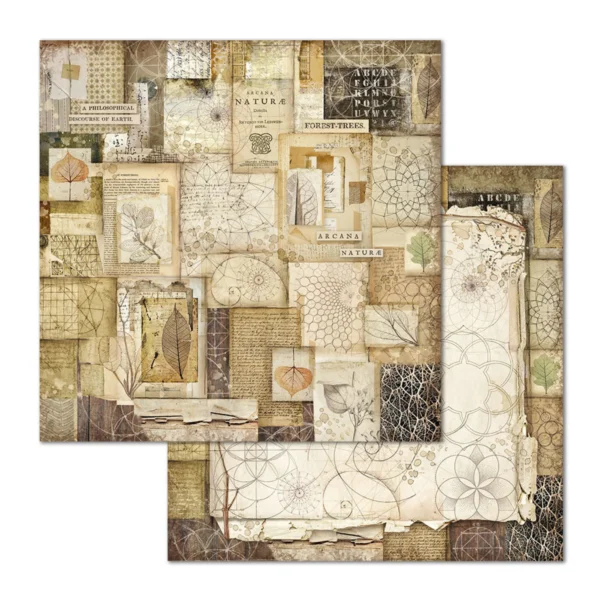 Forest 12x12 Inch Paper Pack (SBBL63)