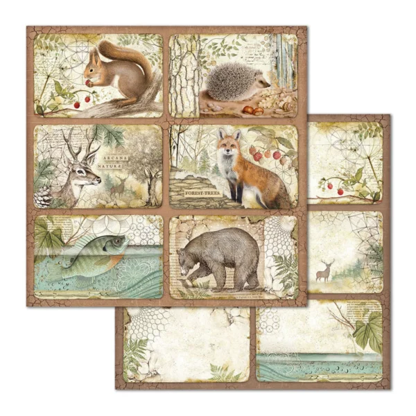 Forest 12x12 Inch Paper Pack (SBBL63)