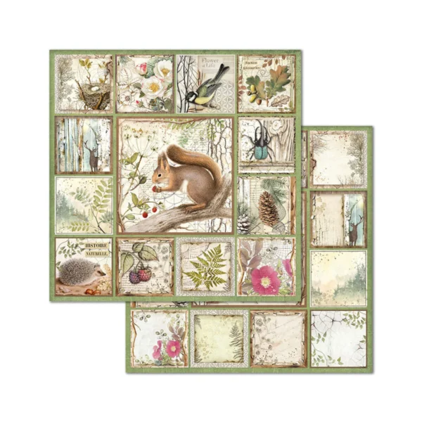 stamperia-forest-8x8-inch-paper-pack-sbbs06
