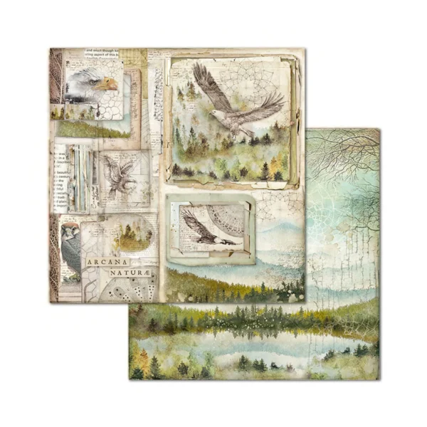 Forest 8x8 Inch Paper Pack (SBBS06)