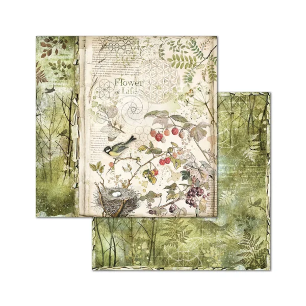 Forest 8x8 Inch Paper Pack (SBBS06)