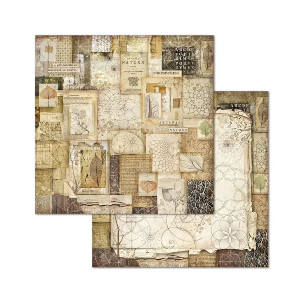 Forest 8x8 Inch Paper Pack (SBBS06)