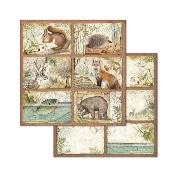 Forest 8x8 Inch Paper Pack (SBBS06)