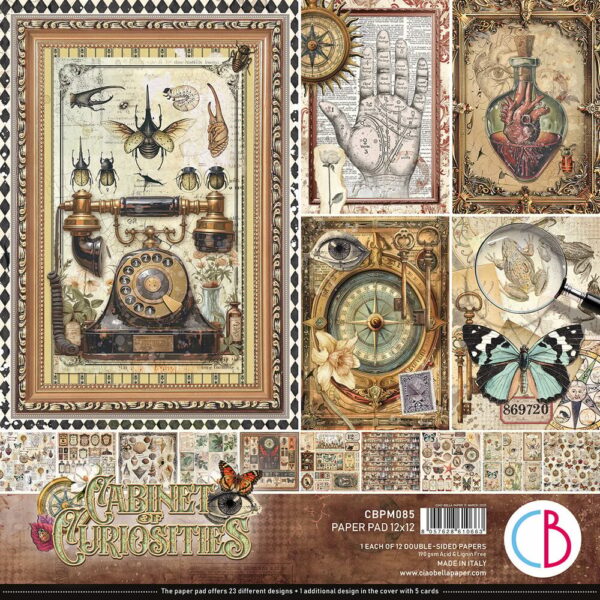 Cabinet of Curiosities 12x12 Inch Paper Pad (12pcs) (CBPM085)