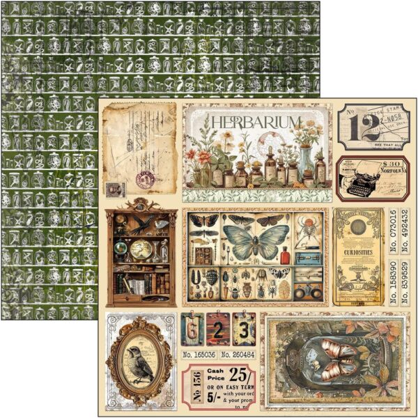 Cabinet of Curiosities 12x12 Inch Paper Pad (12pcs) (CBPM085)