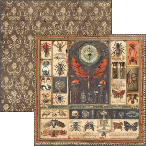 Cabinet of Curiosities 12x12 Inch Paper Pad (12pcs) (CBPM085)