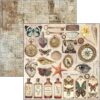 Cabinet of Curiosities 12x12 Inch Paper Pad (12pcs) (CBPM085)