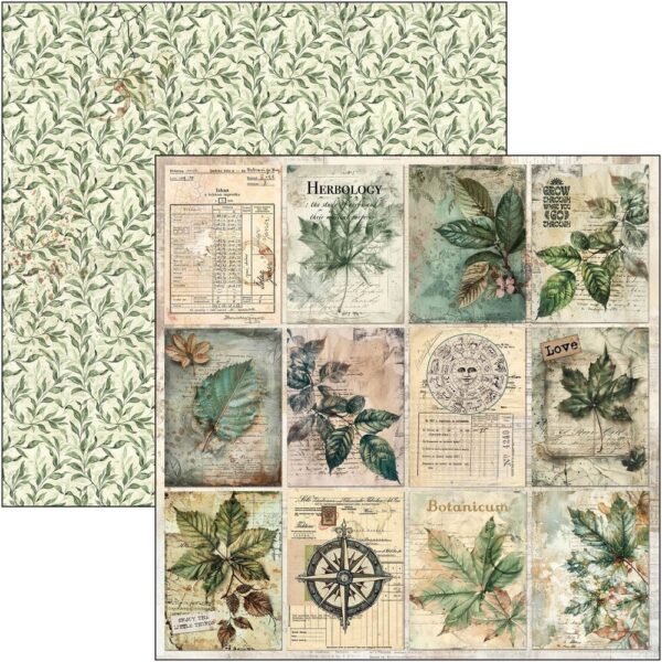 Cabinet of Curiosities 12x12 Inch Paper Pad (12pcs) (CBPM085)