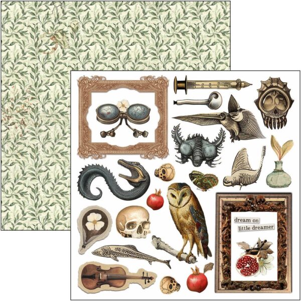 Cabinet of Curiosities 6x6 Inch Fussy Cut Pad (24pcs) (CBQE085)