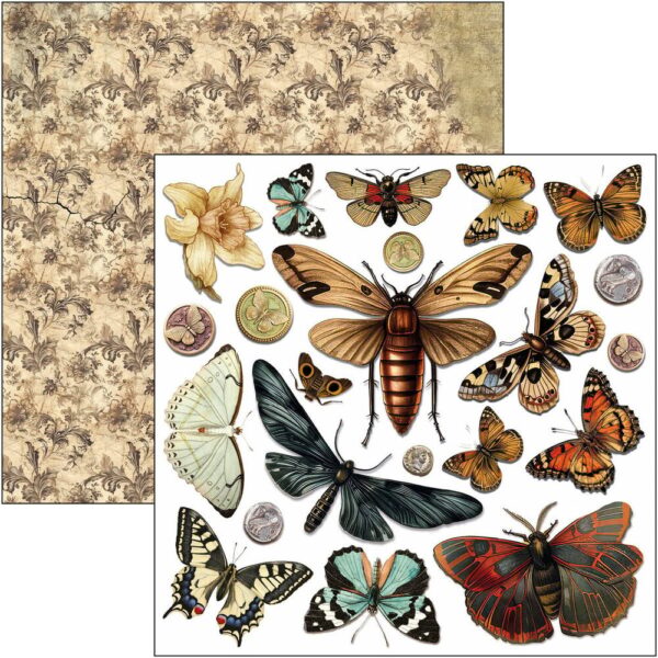 Cabinet of Curiosities 6x6 Inch Fussy Cut Pad (24pcs) (CBQE085)