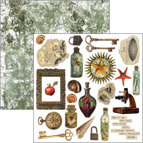 Cabinet of Curiosities 6x6 Inch Fussy Cut Pad (24pcs) (CBQE085)