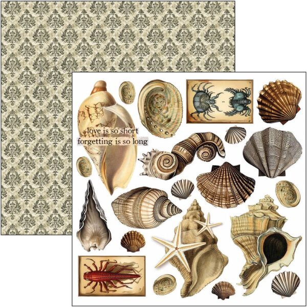 Cabinet of Curiosities 6x6 Inch Fussy Cut Pad (24pcs) (CBQE085)