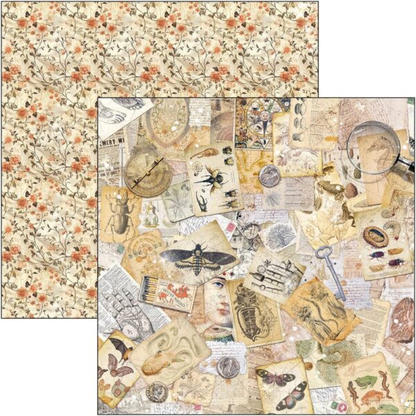 Cabinet of Curiosities 8x8 Inch Paper Pad (12pcs) (CBH085)