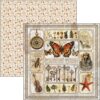 Cabinet of Curiosities 8x8 Inch Paper Pad (12pcs) (CBH085)
