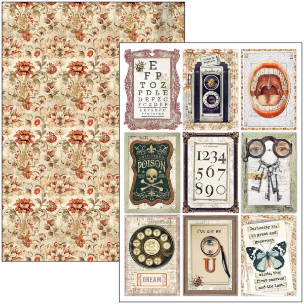 Cabinet of Curiosities A4 Creative Pad (9pcs) (CBCL085)
