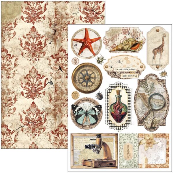 Cabinet of Curiosities A4 Creative Pad (9pcs) (CBCL085)
