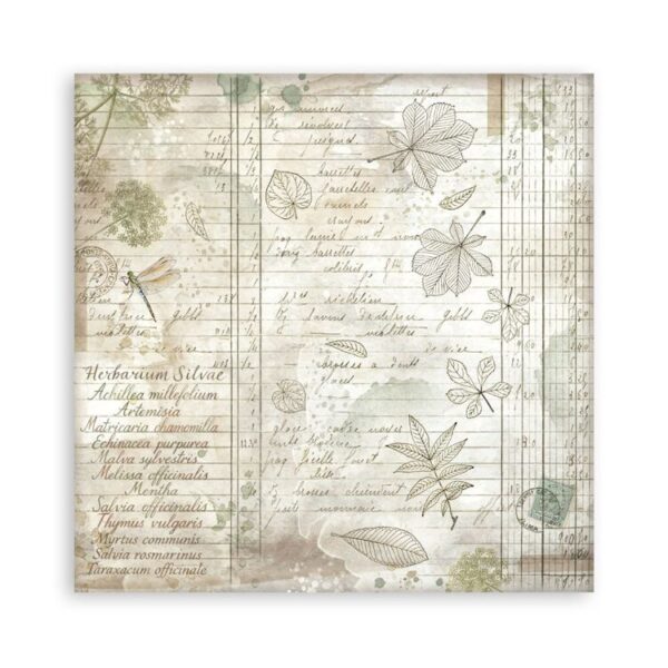 Herbarium Silvae 8x8 Inch Maxi Paper Pack (Single Face) (SBBSXB20)