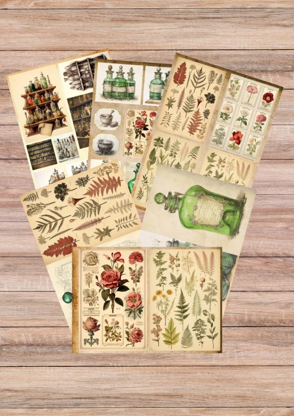 Papier scrapbooking Apothicaire - P01