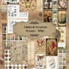 Papier-scrapbooking-Cabinet-de-Curiosites-P02