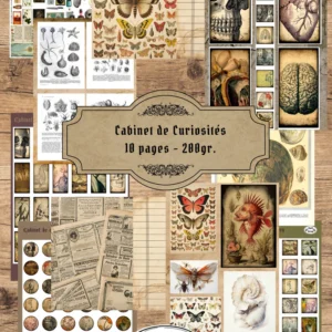 Papier-scrapbooking-Cabinet-de-Curiosites-P02