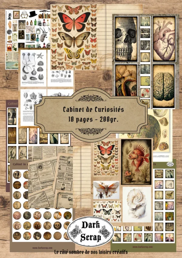 Papier-scrapbooking-Cabinet-de-Curiosites-P02