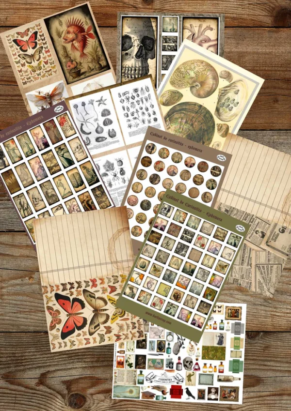 Cabinet de Curiosités  - Scrapbooking papier (P02)