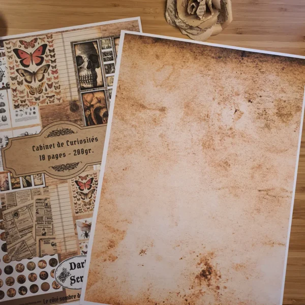 Cabinet de Curiosités  - Scrapbooking papier (P02)