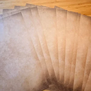 Papier scrapbooking Vintage 12 pages - P15