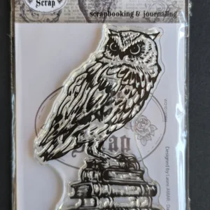 Tampon Hibou et livres - TS 001