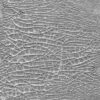 Tim Holtz Distress Crackle Paste Translucent 3 fl oz (TDA79651)