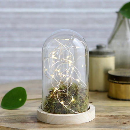 Glazen stolp met houten voet Ø10 cm – hoogte 15 cm