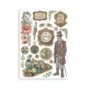 Gardens of Time A5 Washi Pad - 8pcs (SBW32)