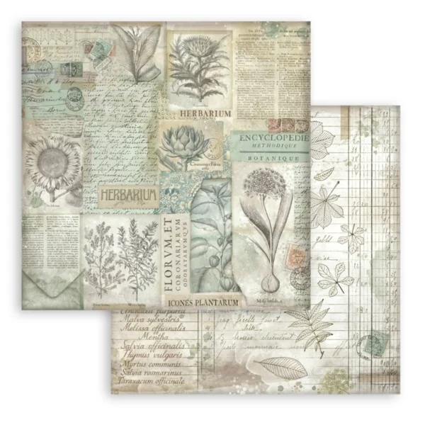 Herbarium Silvae 12x12 Inch Paper Pack Maxi Background Selection (SBBL180)