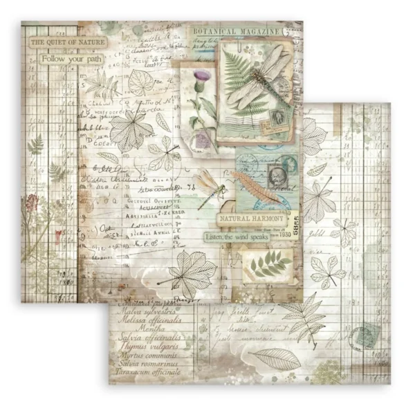 Herbarium Silvae 8x8 Inch Paper Pack (SBBS135)