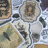25 Stickers – Apothicaire & Cabinet de Curiosités - Vintage stijl (S08)