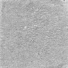 Ranger Tim Holtz Distress Crackle Paint Translucent | 88,7 ml (TDC80411)