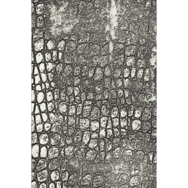 3D Texture Fades Embossing Folder Reptile | Tim Holtz – Sizzix (666296)